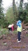 11 may transfer 093